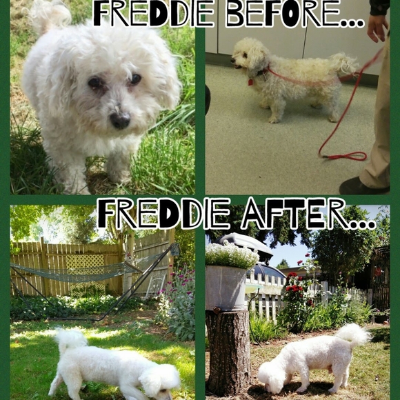 Meet your posher ๐คโคโบ๐ฏ๐๐๐ - Picture 9 of 16